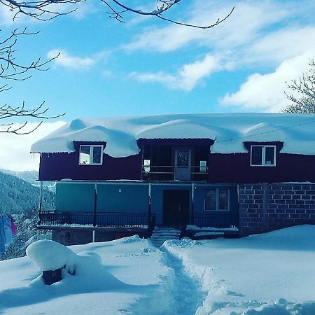 Goderdzi-Ski Resort Danisparauli エクステリア 写真